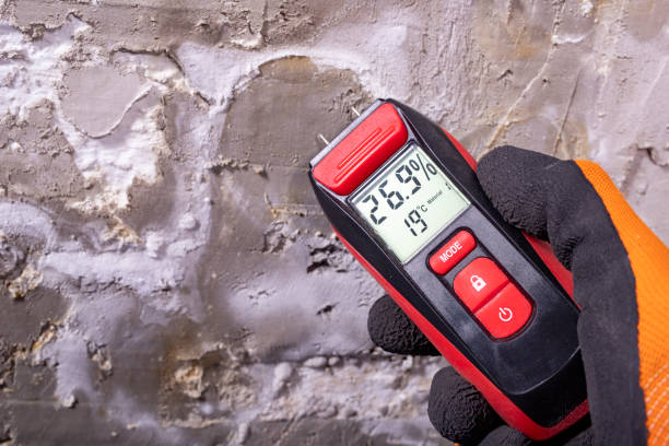 Best Mold Remediation for Schools in Rock Creek, AL