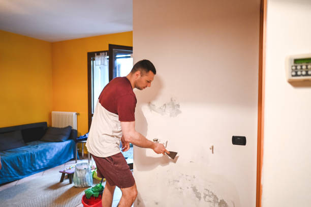 Best Mold Testing and Inspection Services in Rock Creek, AL